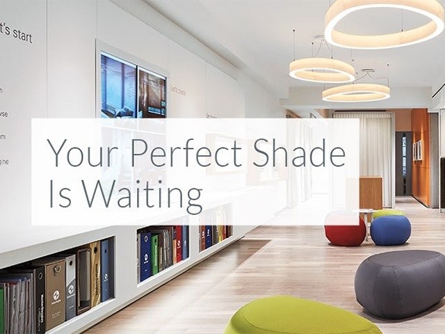 Hunter Douglas Dealer Image